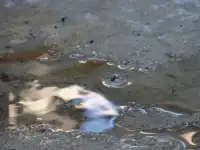 Concrete Rain Drops